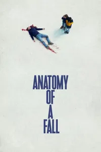 Bir Düşüşün Anatomisi izle